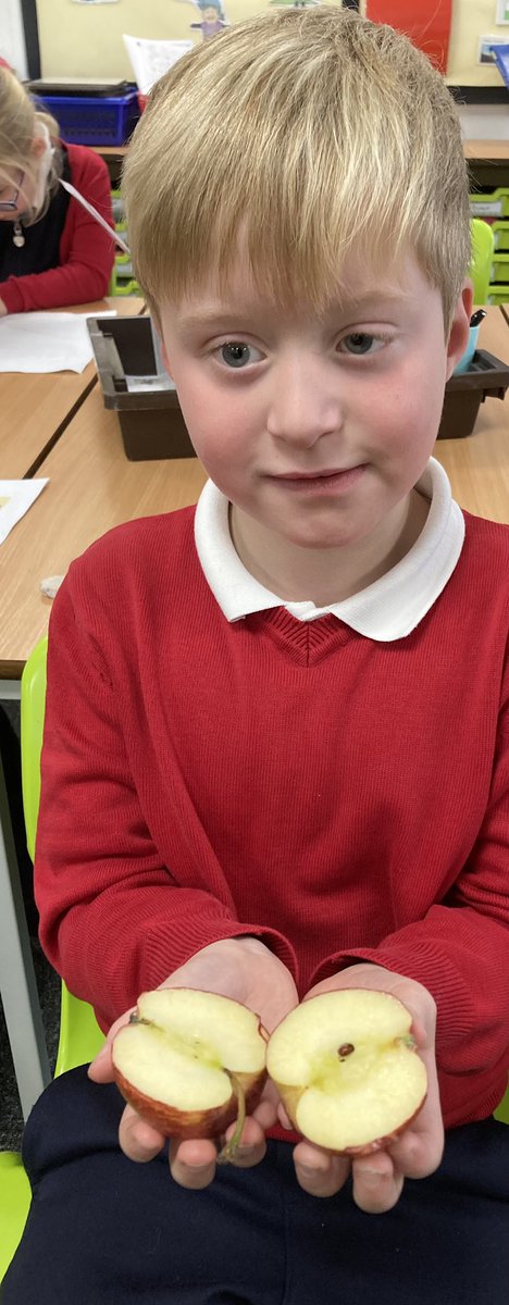 AnParkInfants's tweet image. Kindness activity with an apple🍎.
Today the children thought carefully about using kind words otherwise we could be feeling hurt and bruised inside like one of our apples 🥲#apiclass4 #apipshe #anti-bullying #reachout