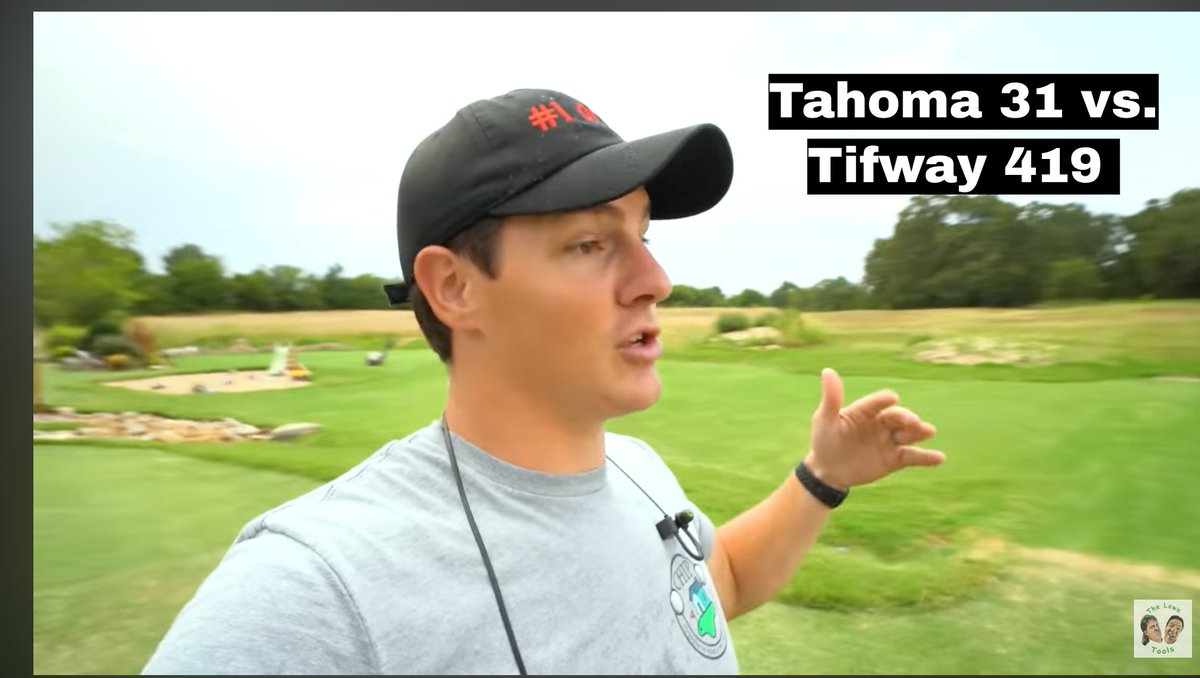 VIDEO! What's the better grass, Tahoma 31 or Tifway 419? Compare wear, shade, vertical growth & more. Check out this video from @TheLawnTools youtu.be/UP0154BKe5E #Tahoma31 #turfgrass #Bermudagrass. #TheLawnTools #grass #Turflife #turf #Tifway419 #golf #sportsturf #lawn