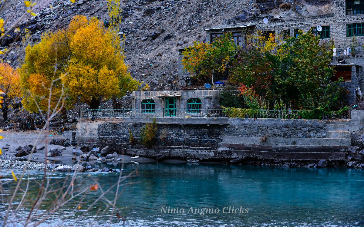 ClicksNima's tweet photo. Golden leaves,no worries!!🍂🍁
#kargil#leaves #nature #autumn #fall #photography #autumnvibes #photooftheday #tree #plants #naturelovers #beautiful #autumnleaves #photo #autumncolors #landscape October2022 #garden#picoftheday❤️ https://t.co/JZmWtzu14y
