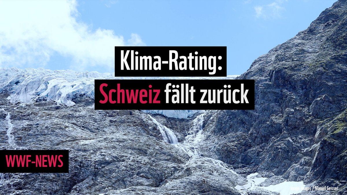 WWF Schweiz tweet media