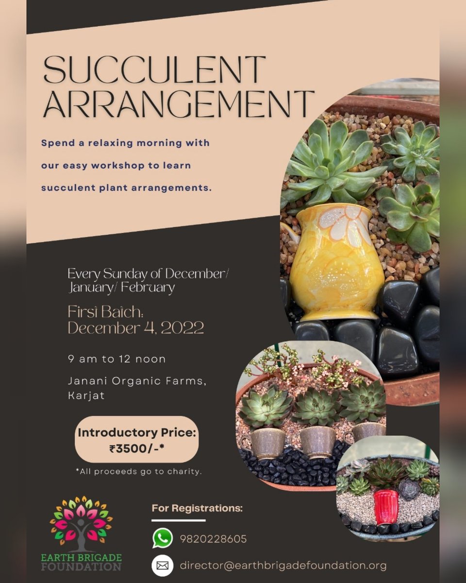 EarthBrigadeIN's tweet photo. Looking for a weekend activity that can be fun & meditative? Come, spend a relaxing morning with our easy workshop to learn succulent plant arrangements. You will discover a new hobby that is not only satisfying, but addictive too!
#SucculentWorkshop #PlantsOfIndia https://t.co/dl5jXGeAYr