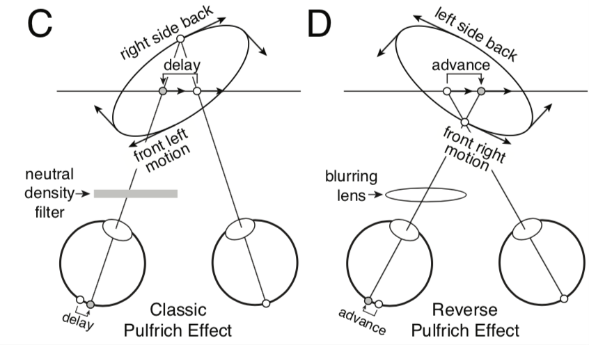 Now in print! In this new paper by <a href="/johannesburge/">Johannes Burge</a> and I, we explain a variant of a well-known visual illusion--the Pulfrich effect--and its link to temporal processing dynamics in the human visual system. Lots of nice behavioral data in here.  jov.arvojournals.org/article.aspx?a…
