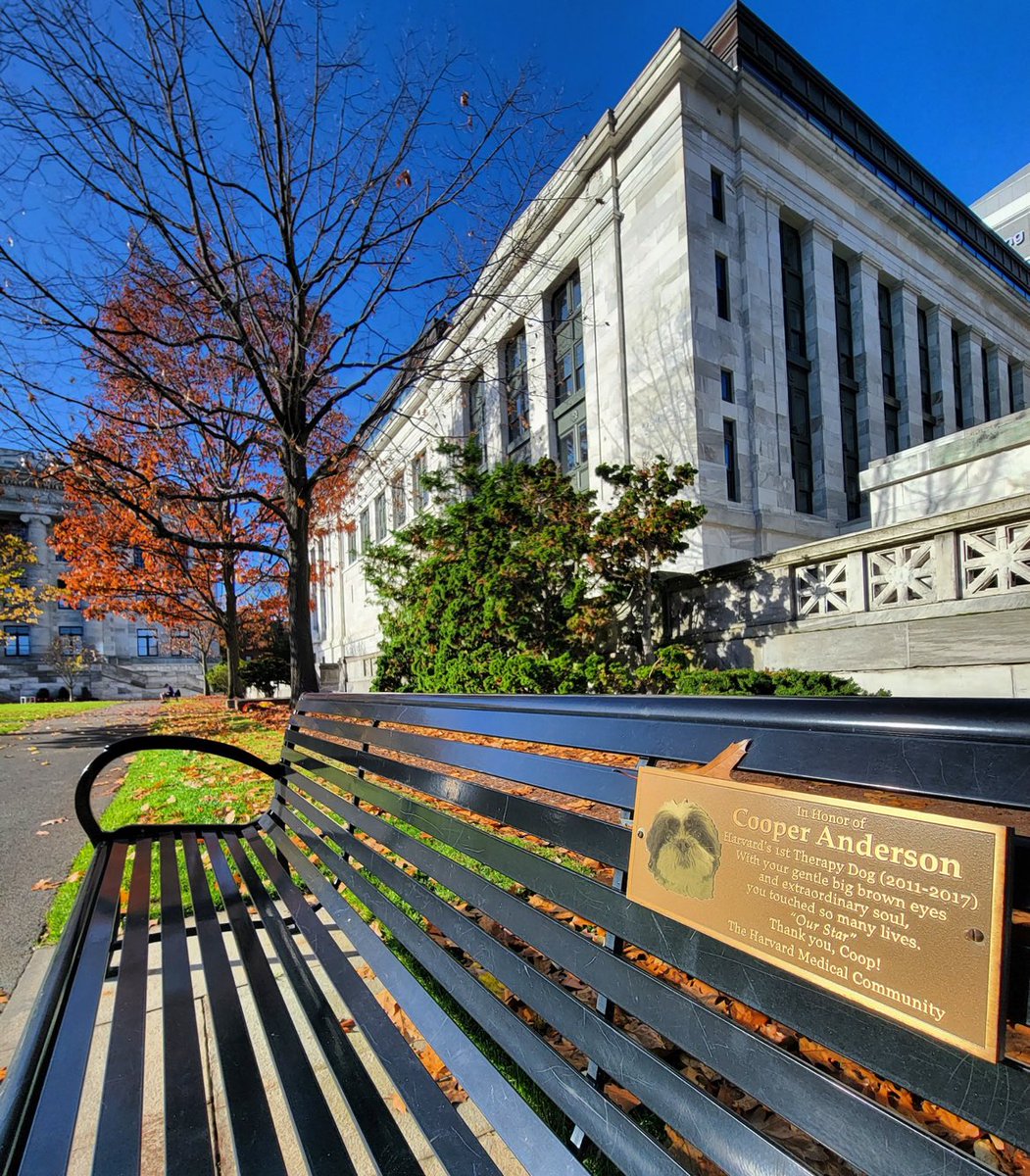 Your Pets Our History on Twitter "RT EvanKirstel Harvard Medical