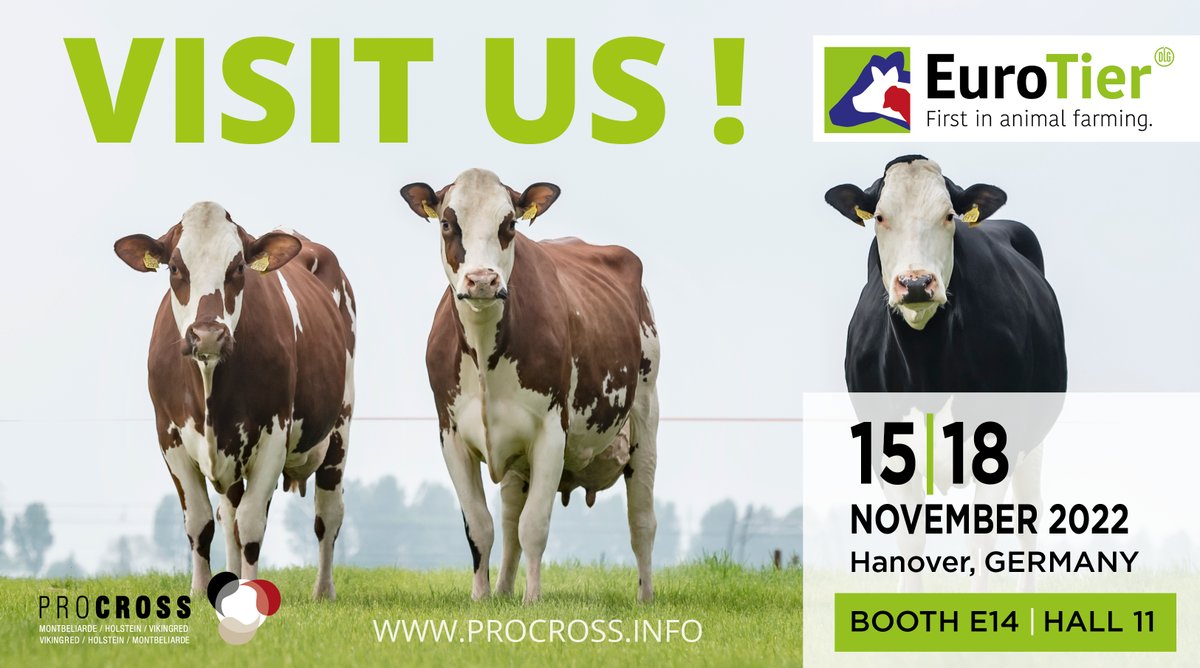 ProcrossCows's tweet image. See you tomorrow at @EuroTier 2022 ! Booth E14, Hall 11 ! #procross #proven #profitable #progressive #vikingred #coopexmontbeliarde