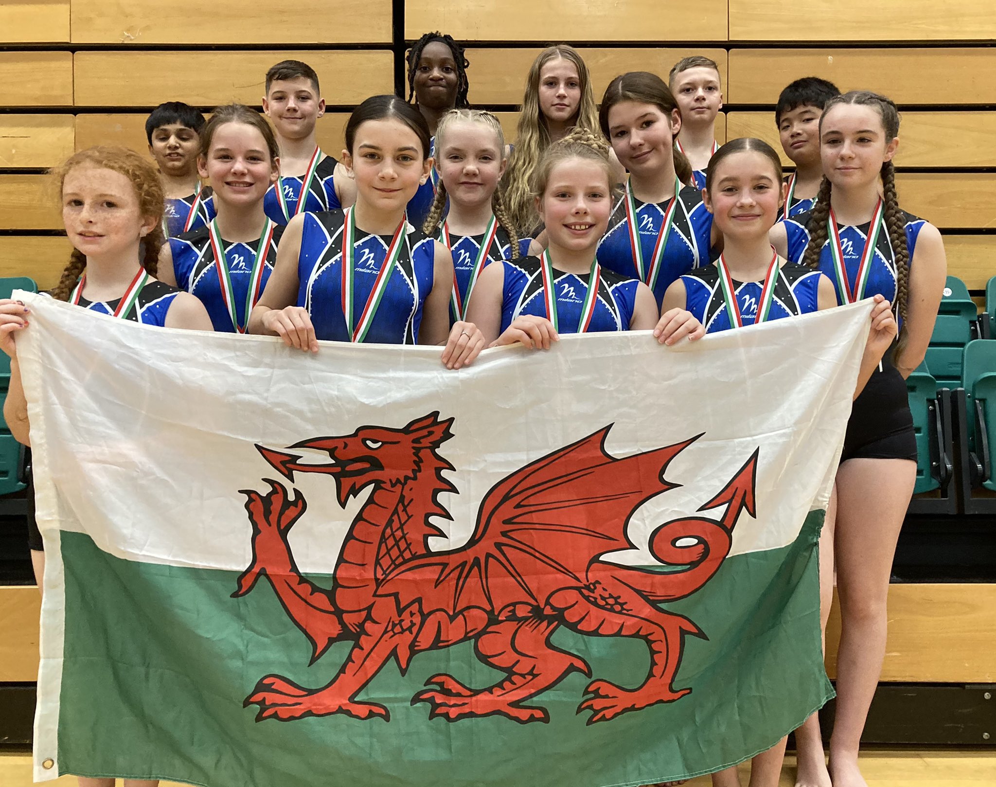 St Teilo's PE on Twitter "Fantastic results at today’s Welsh Schools