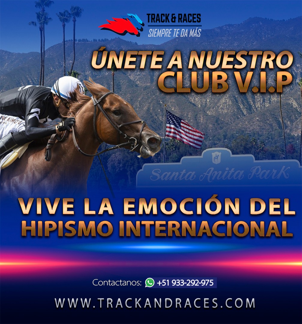 track_races's tweet photo. Brindamos grandes beneficios extras a nuestra comunidad de apostadores que se suman a nuestro Club VIP
Únete vía WhatsApp +56 971 238 055 y aprovecha tu Track-Retorno semanal…
Trackandraces siempre te da más…
#Clubvip #Membresia #Trackandraces #ClubExclusivo https://t.co/o73JsppDdd