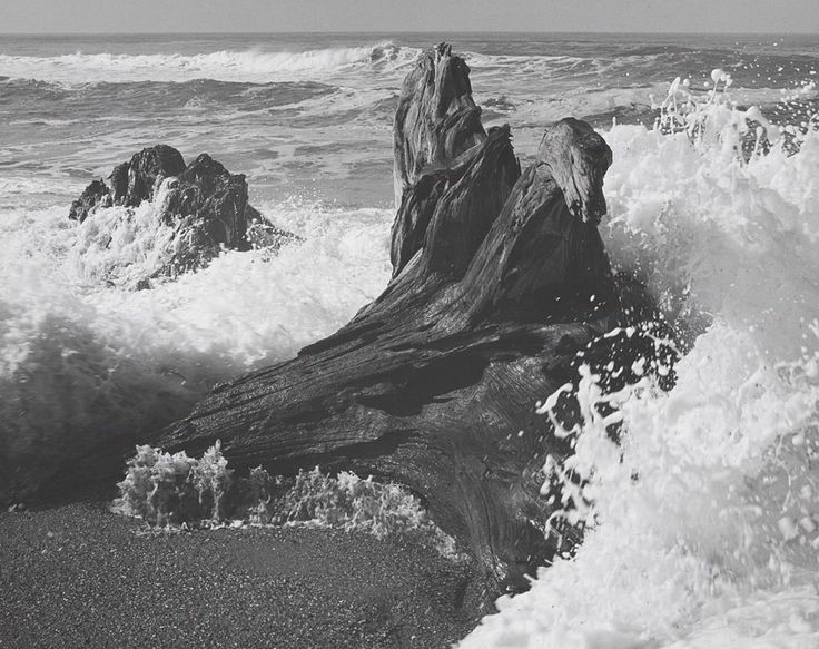 Ansel Adams