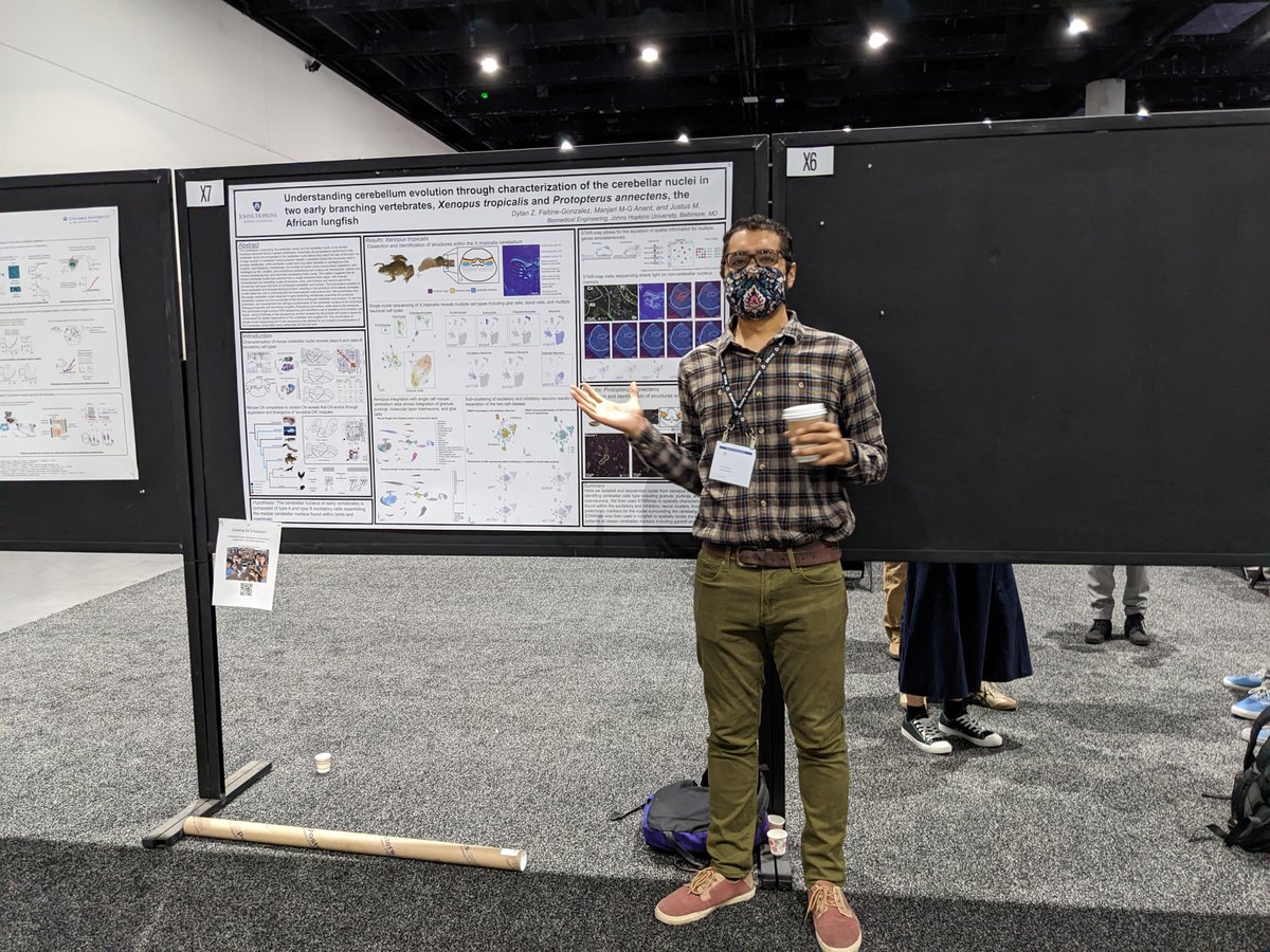 <a href="/DrDylanFaltz/">Dr. Dylan Faltine-Gonzalez</a> is presenting the first lab poster at #sfn2022 right now! Come to X7 and check it out