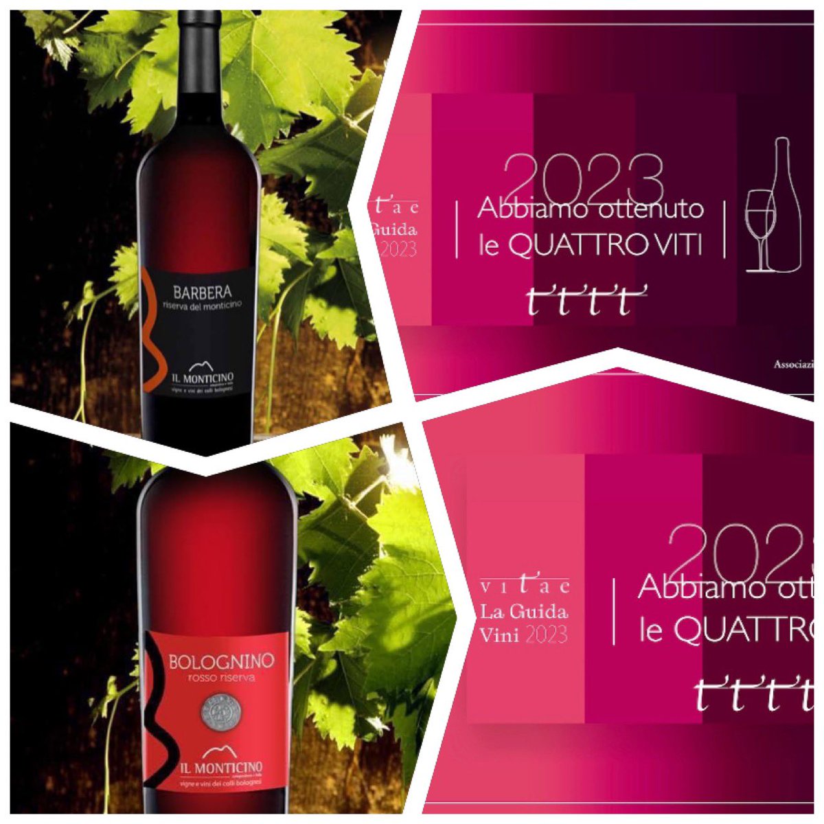 Vi comunichiamo che i nostri  vini
 
COLLI BOLOGNESI BARBERA DEL MONTICINO RISERVA 2018
COLLI BOLOGNESI BOLOGNA ROSSO BOLOGNINO ROSSO RISERVA 2018
 
hanno ottenuto il massimo riconoscimento delle QUATTRO VITI nella nona edizione di Vitae La Guida Vini 2023, edita dall’AIS ITALIA