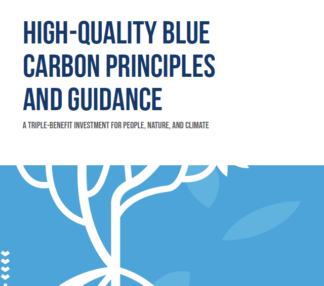 Wave Of Change tweet media