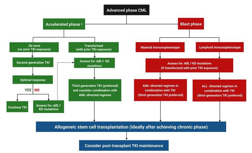 Hagop Kantarjian,MD (@drhkantarjian) on Twitter photo New review on state-of-the-art treatment of advanced phase #CML (AP/BP) by @JayastuMD and @NicholasShort of <a href="/MDAndersonNews/">MD Anderson Cancer Center</a> #Leukemia, published in <a href="/LeukemiaJnl/">Leukemia Journal</a>. We prefer ponatinib-based combo regimens for these pts whenever possible. rdcu.be/cZBFa
#leusm New review on state-of-the-art treatment of advanced phase #CML (AP/BP) by @JayastuMD and @NicholasShort of <a href="/MDAndersonNews/">MD Anderson Cancer Center</a> #Leukemia, published in <a href="/LeukemiaJnl/">Leukemia Journal</a>. We prefer ponatinib-based combo regimens for these pts whenever possible. rdcu.be/cZBFa
#leusm