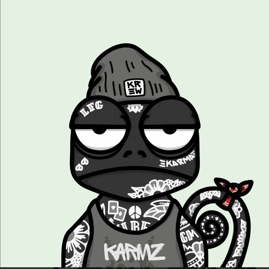 krypto_vagabond's tweet image. #KarmaKrew #AlphaKid IRL.