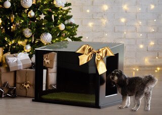 #TheCityLoo Posh Potty for Stylish Dogs - no more stress of walking a dog in bad weather or when it may not be safe - living in a high-rise prevent accidents on stairwells/elevators by placing City Loo indoors/outside on a patio/deck- Read More on Blog
fidofriendly.com/blog/the-city-…