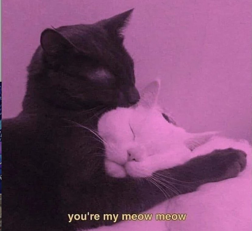 cravedcuddle's tweet photo. https://t.co/6OjML4BeHF