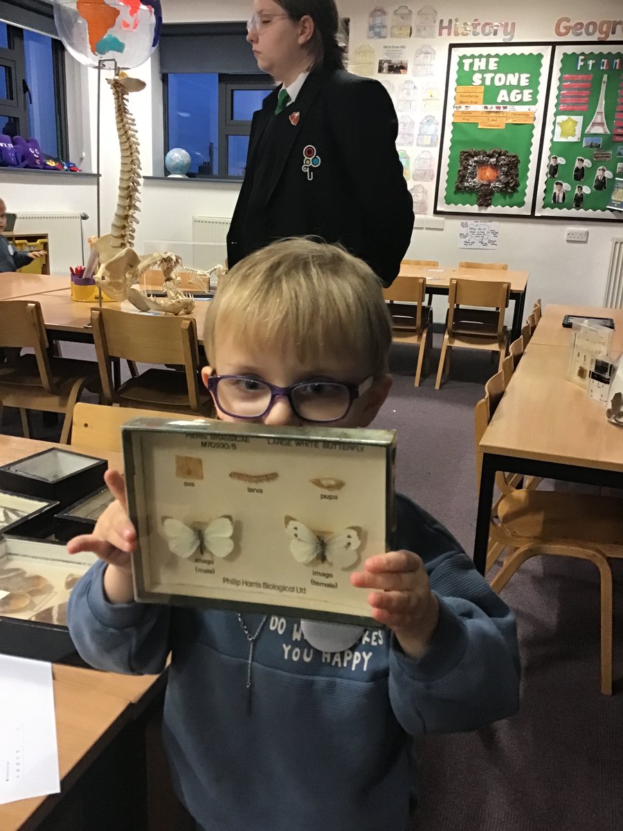 UnityPhase2's tweet image. #butterfly #UnityOpenday #Unityacademy