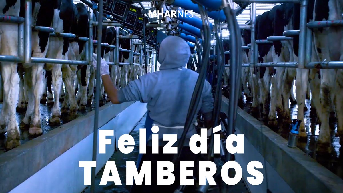 GMharnes's tweet photo. Felicidades y buena jornada, colegas 🐄💙

#grupomharnes #tambo #tambomodelo #grupodonemilio #lecheria #diaryfarm #cow #villamaria #cordoba #argentina🇦🇷 https://t.co/n25jWbNayZ