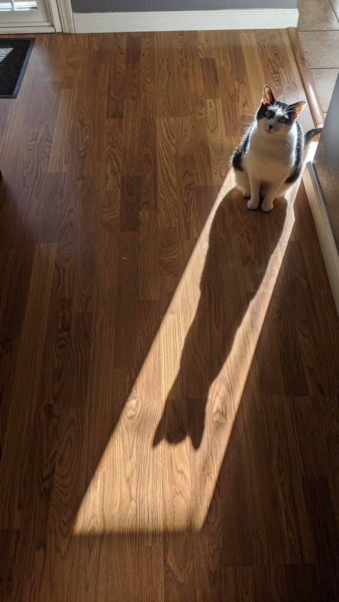 penny | altered tweet media