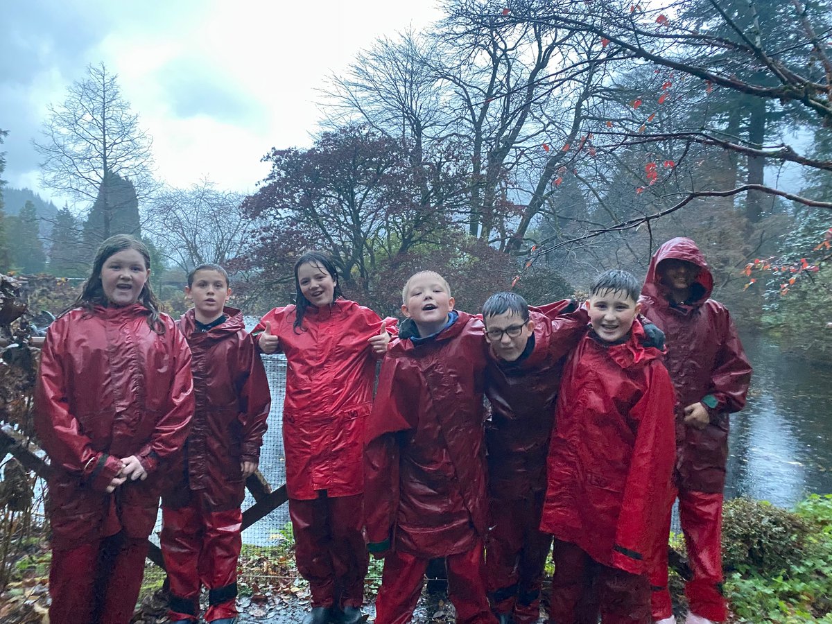 Broomhouse Primary 5 tweet media