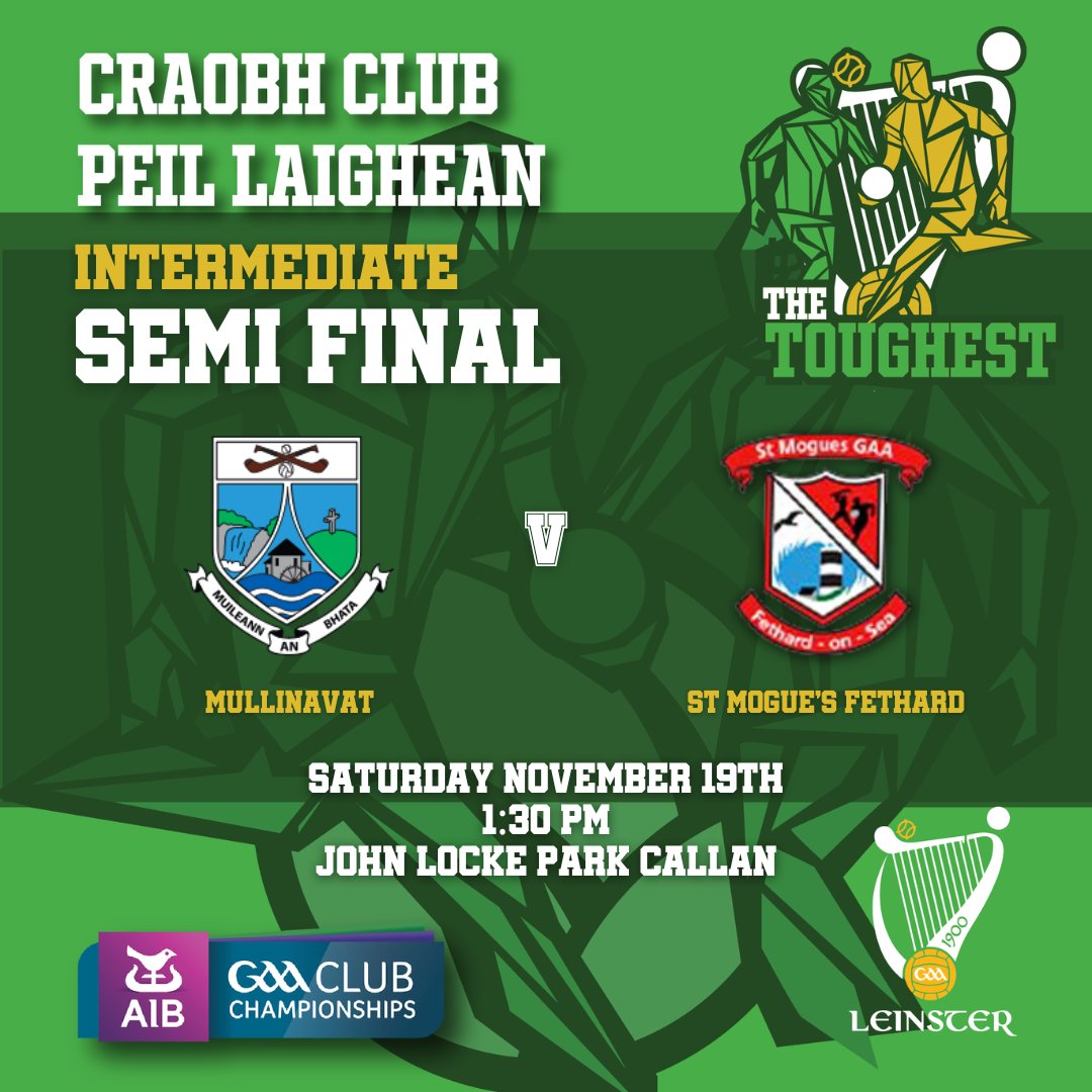 Leinster GAA tweet media