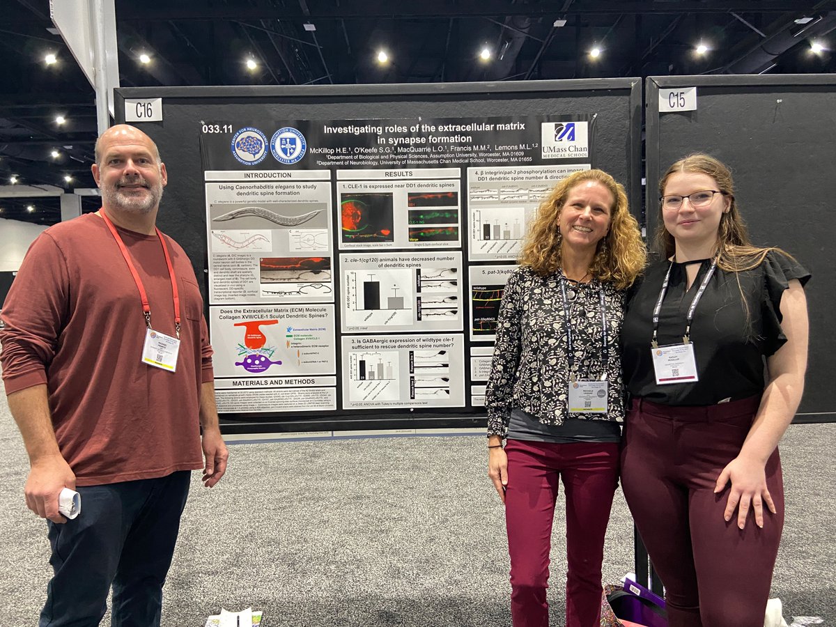 Michael Francis Lab (@francislab4) on Twitter photo We are thrilled that Hailey McKillop, an <a href="/AssumptionNeuro/">Neuroscience at Assumption University</a> student, represented both the <a href="/Mic_Lemon/">Michele Lemons</a> lab and our lab at <a href="/SfN_Events/">Society for Neuroscience Events</a> in San Diego! Amazing job! #SfN22 We are thrilled that Hailey McKillop, an <a href="/AssumptionNeuro/">Neuroscience at Assumption University</a> student, represented both the <a href="/Mic_Lemon/">Michele Lemons</a> lab and our lab at <a href="/SfN_Events/">Society for Neuroscience Events</a> in San Diego! Amazing job! #SfN22