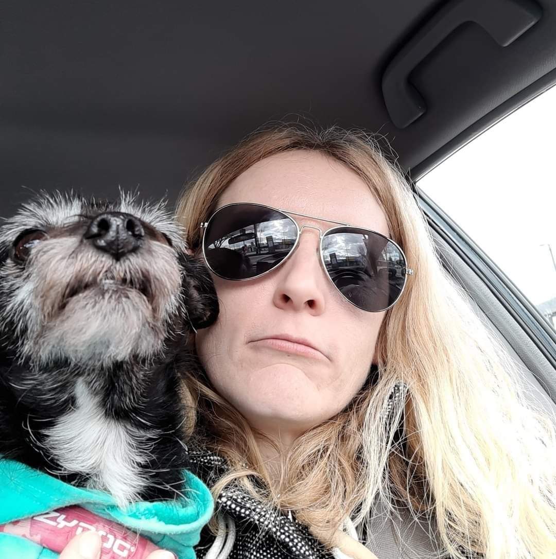 Su ✂️ tweet media