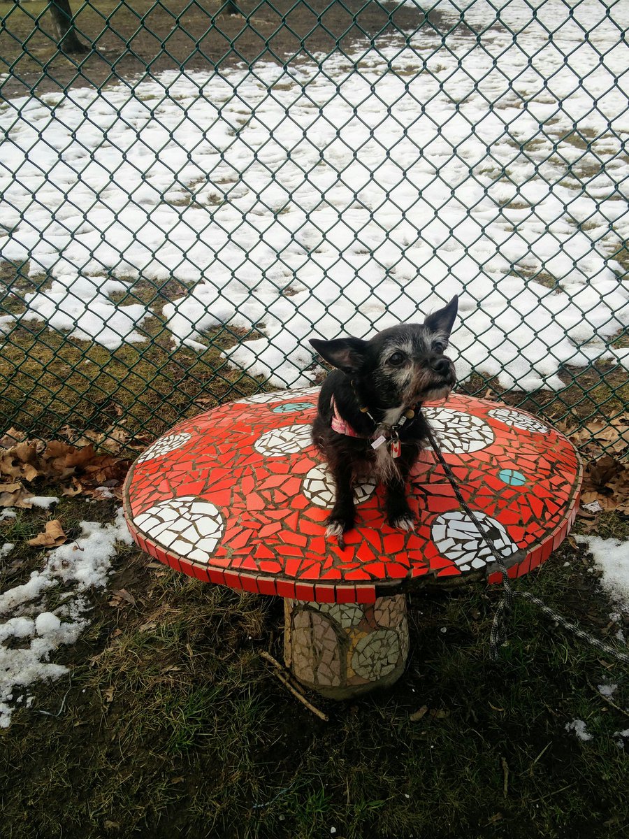 Su ✂️ tweet media