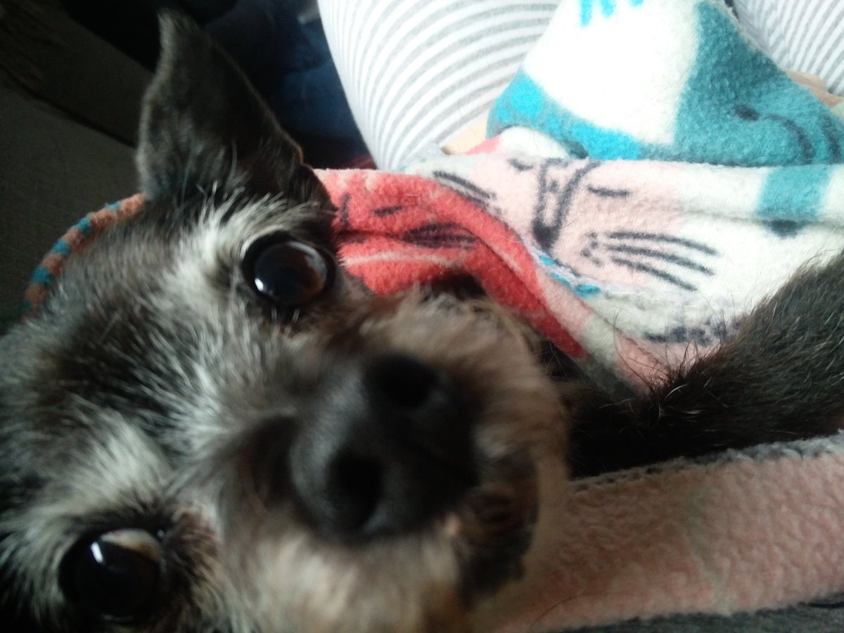 Su ✂️ tweet media