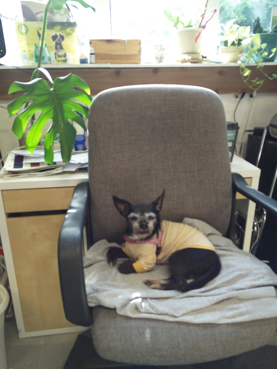 Su ✂️ tweet media