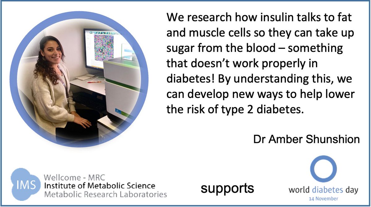 Amber Shunshion (@ambershunshion) on Twitter photo Everyone in the <a href="/DPhaz/">Daniel Fazakerley</a> lab <a href="/IMS_MRL/">Inst Metabolic Science-Metabolic Research Labs</a> supports #WorldDiabetesDay <a href="/olivia_j_conway/">Olivia Conway</a> <a href="/ellieffox/">Ellie Fox</a> <a href="/joycelyntsi/">Joycelyn Tan</a> Everyone in the <a href="/DPhaz/">Daniel Fazakerley</a> lab <a href="/IMS_MRL/">Inst Metabolic Science-Metabolic Research Labs</a> supports #WorldDiabetesDay <a href="/olivia_j_conway/">Olivia Conway</a> <a href="/ellieffox/">Ellie Fox</a> <a href="/joycelyntsi/">Joycelyn Tan</a>