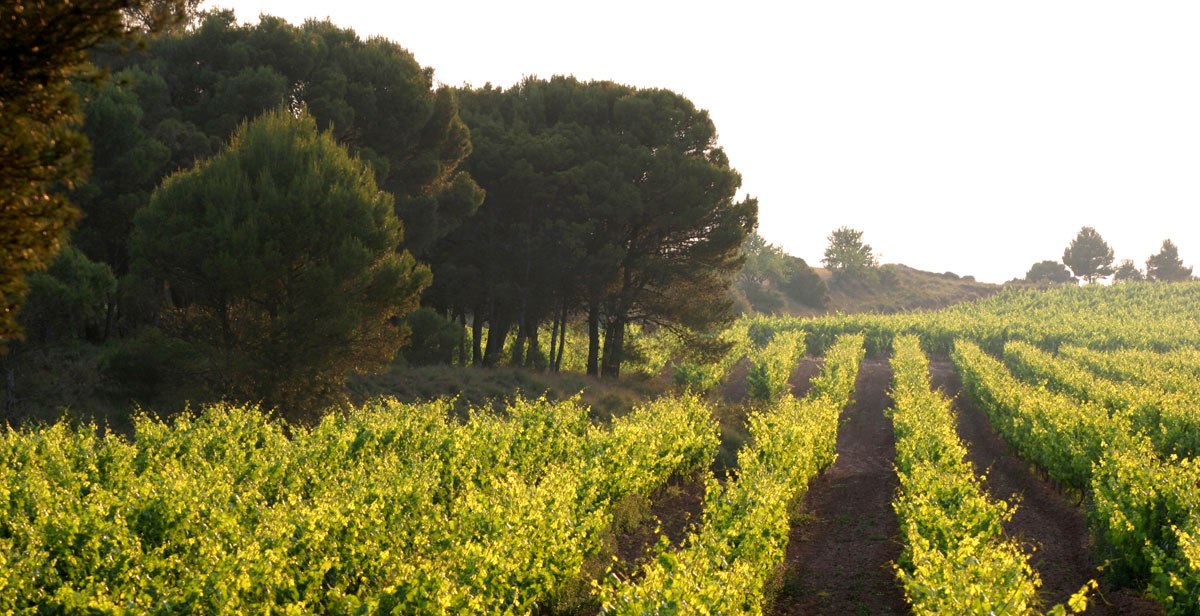 The Bondholder Winter Tasting 2022 - An Open Invite - mailchi.mp/4f57e168c2af/v…