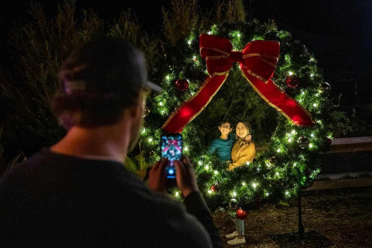 GSOSciCenter's tweet photo. Winter Wonderlights opens in just three days ✨⛄
We hope you're ready to sing & dance along while making lasting memories with friends & family.
Click here for more info: https://t.co/K0TCA8fT5k
#GreensboroScienceCenter #VisitGSO #WinterWonderlights #WinterWonderlightsAtTheGSC https://t.co/S3ejnFDvZB