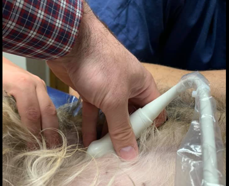 VetScanSchool's tweet photo. Vet Ultrasound Trick Of The Day....  There are 4 things to evaluate carefully when scanning the bladder.

The hardest of the 4 is reviewed in our Master Academy.  This photo goes over the trick. What are we looking at? https://t.co/WmZBXpbQHM