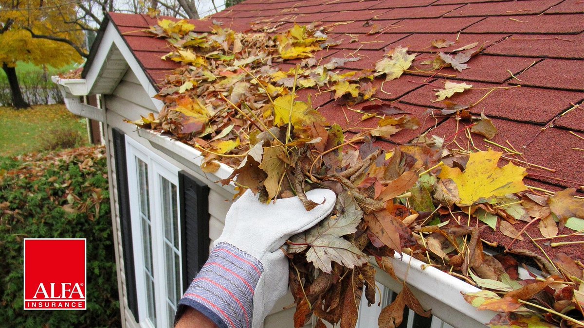 benfranklin4rel's tweet photo. Now is a great time to prepare your home to withstand winter weather. Follow this fall checklist for must-do repairs and other seasonal maintenance tips: https://t.co/f7LU5Jjjs4. 🍂🏠🍁 #FallHomeMaintenance #Autumn #Home https://t.co/L2hO5SzRuh
