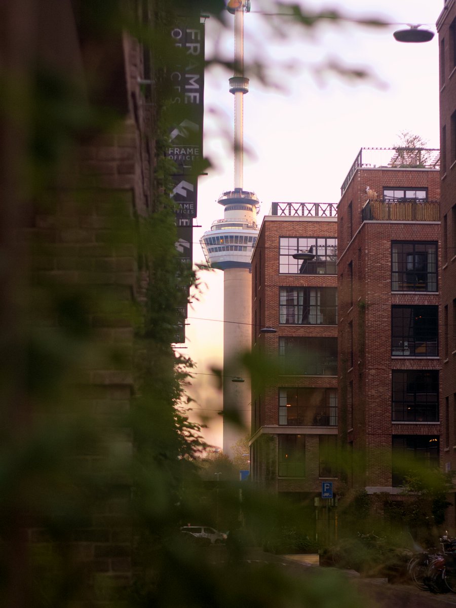 Zonsondergang in Rotterdam

14 november 16:41, Little C