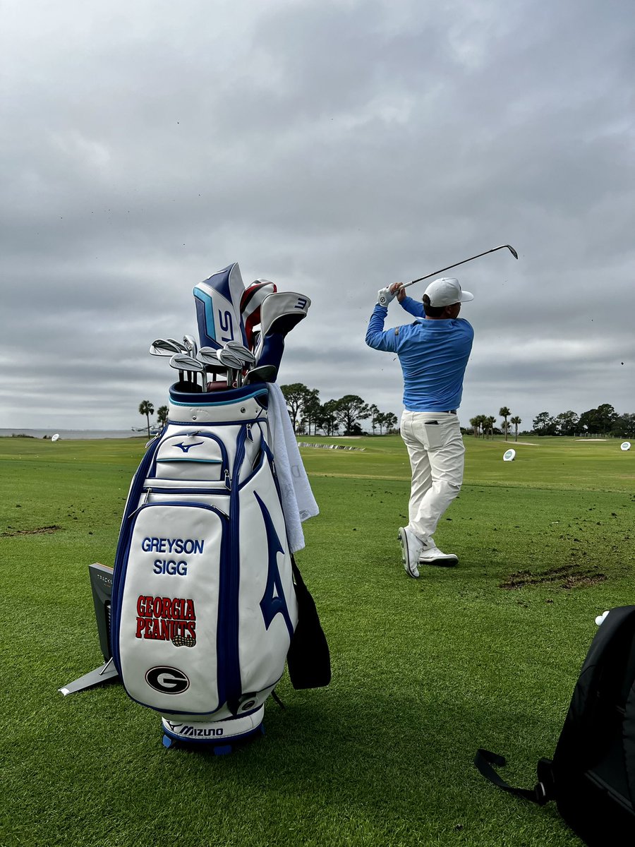 mizunogolf tweet media