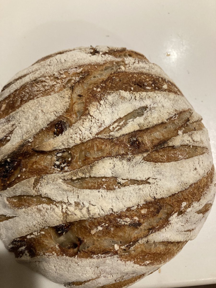 Joyce Carol Oates on Twitter "Bread with fennel & fig"