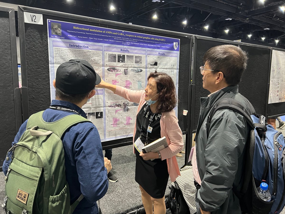 DART.2 — 2nd of 6. # V2. 
Haidun Yan presents bidirectional synapse editing in the retina. A major step towards causal perturbation of the chemical connectome. Amazing collab with @GregDField mad <a href="/icanhasMiranda/">Miranda Scalabrino, PhD</a>.
