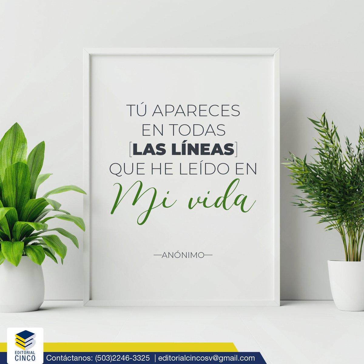 EditorialCinco's tweet photo. Tú apareces en todas las líneas que he leído en mi vida.
-Charles Dickens-
***
Contáctalos: editorialcincosv@gmail.com
WhatsApp: (503) 7602-0388
#editorial #libros #noviembre #leeunlibro https://t.co/00J2VXnnKY