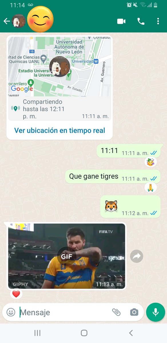 patrixia_corre's tweet photo. Mi 11:11 es para ti #TigresFemenil 🐯💙💛 @TigresFemenil https://t.co/ftcg2yuxAa
