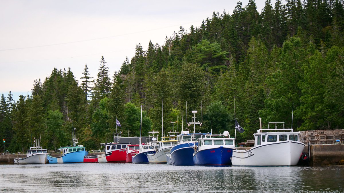 Audrey Bergner tweet media