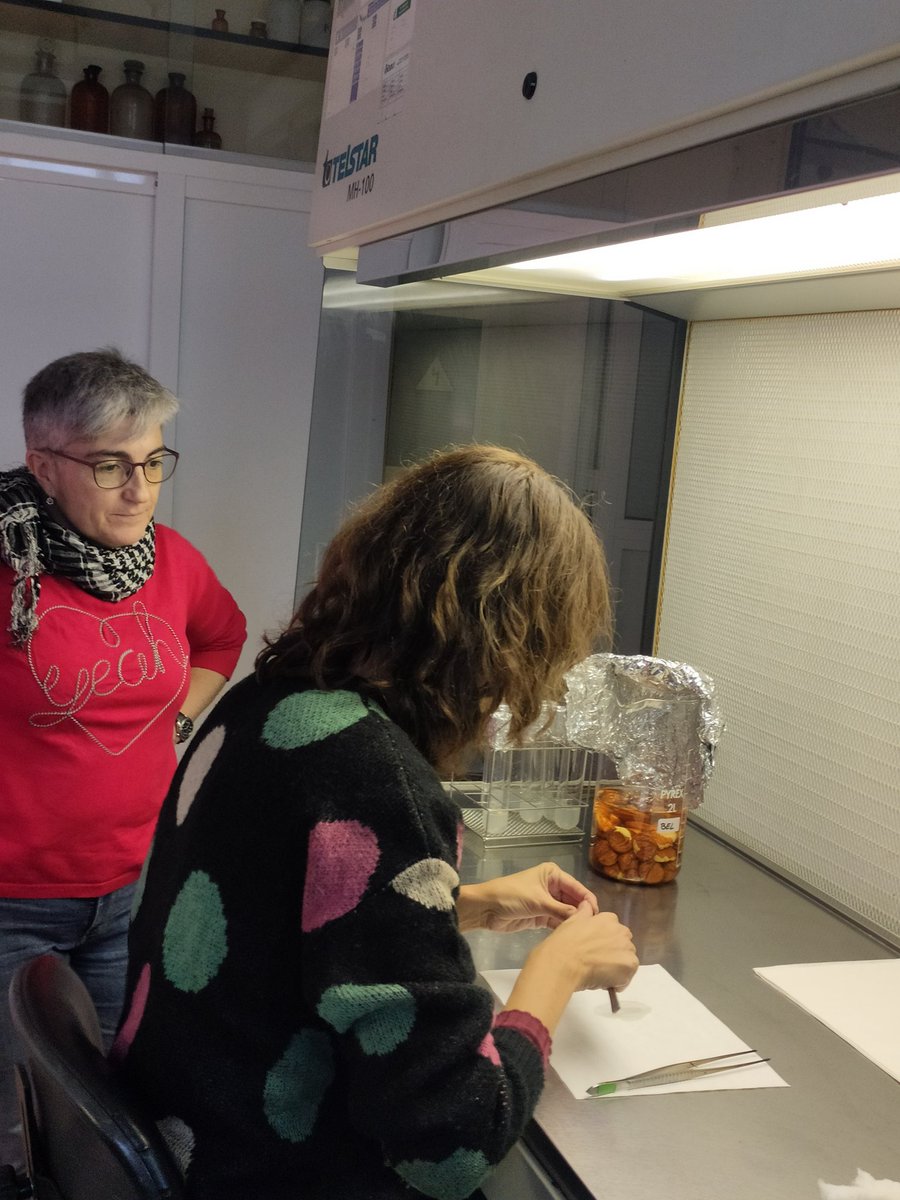 mbg_csic's tweet photo. Rematada a primeira xornada do curso "Cultivo in vitro de plantas", organizado polo Gabinete de Formación do @CSIC e o grupo #BEL da @mbg_csic sede Santiago. 
Mañá máis...
📸👀 https://t.co/rVX5yDaNtw