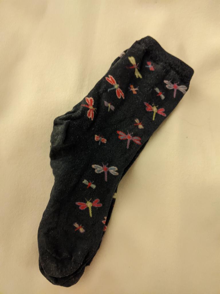 JenniferAHenke's tweet photo. Today's #EntoFashion. Some #EntoSocks and pins at #EntSoc22 #JAM2022 https://t.co/p04TcX7aEy