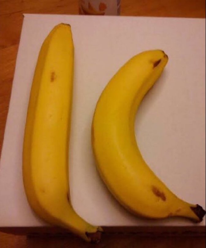 DeGhadFada's tweet photo. Dear ladies, which of these bananas is sweeter 😂? (Guys, tag any female to answer)

Straight               Or                  Curved https://t.co/1obhH0UmVZ
