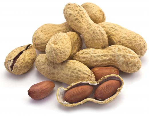 PulseNigeria247's tweet photo. DELETE ONE nut forever 

1. Tigernut
2. Groundnut
3. Cashew nut
4. Walnut https://t.co/e8EuzKeUsk
