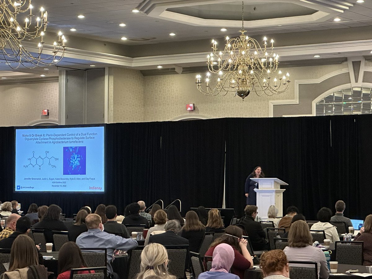 Julia van Kessel tweet media