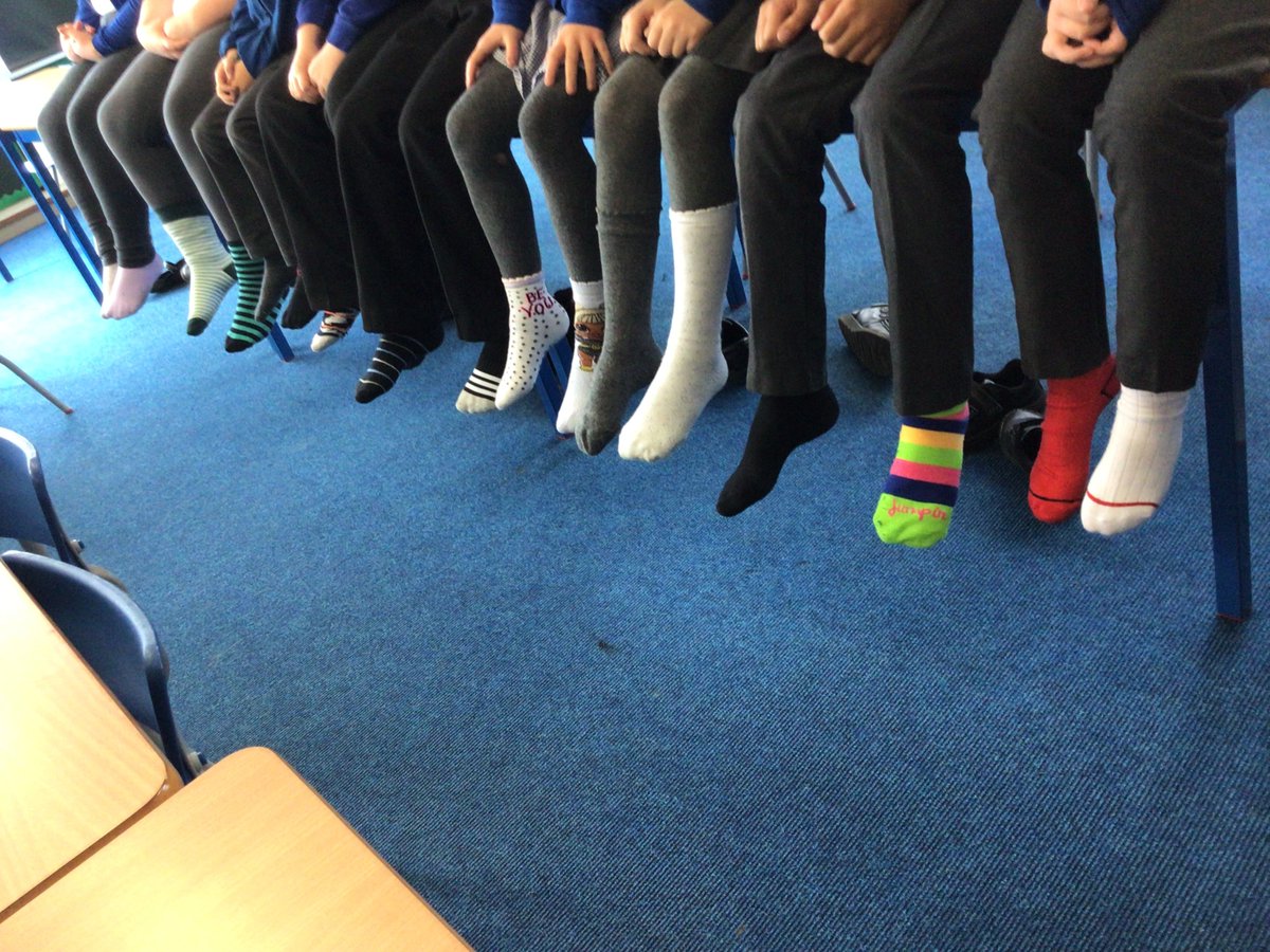 Larkspur Primary tweet media
