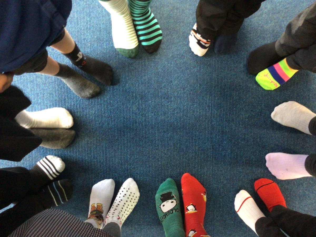 Larkspur Primary tweet media