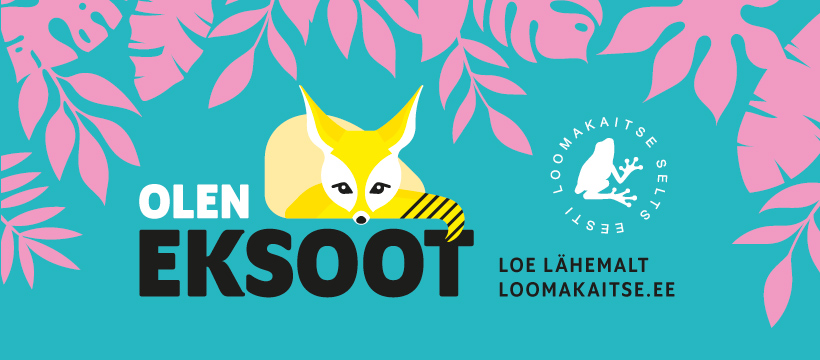 🐢🦁 MIKS VAJAVAD EKSOOTILISED LOOMAD MEIE KAITSET? 💟
❗️ 90% eksootilisi loomi sureb transiidil või esimese vangistuses elatud aasta jooksul. 
Loe rohkem 👉 loomakaitse.ee/90-eksootilisi…
ja 👉 loomakaitse.ee/eksootide-pida…