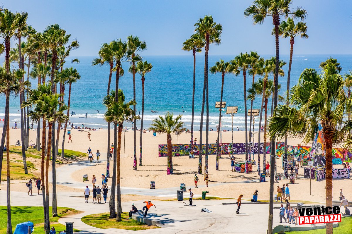 Venice Paparazzi tweet media