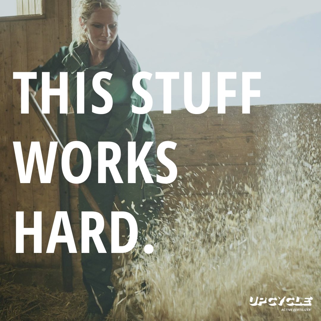 UpCycle and Co tweet media